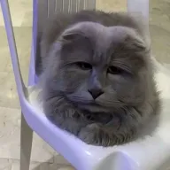NDA хотер