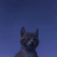куантикс