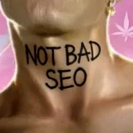 NOT BAD SEO